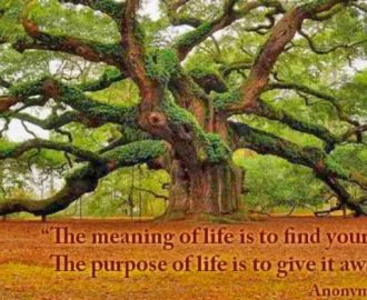 THE MEANING OF LIFE